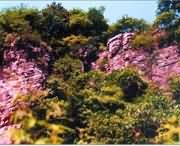 遂平后天天气